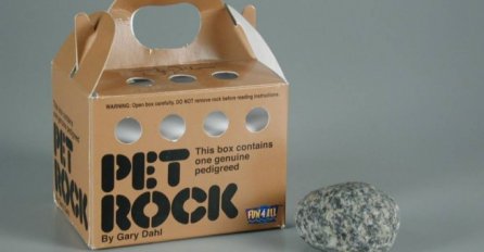 Kamen ljubimac i još 5 ne baš korisnih izuma na kojima su se ljudi obogatili