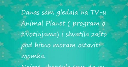 Ostavlja momka jer je iz emisija o životinjama shvatila šta joj on radi!