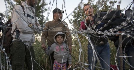 Hiljade ljudi na Islandu spremni da prime sirijske izbjeglice u svoje domove 