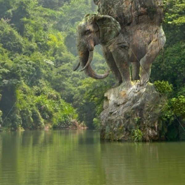 statuapg