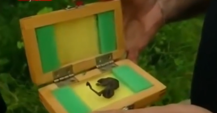 ŠTA JE OVO? Pored ruske nuklearke nađeno misteriozno biće neobične lobanje, bez vrata