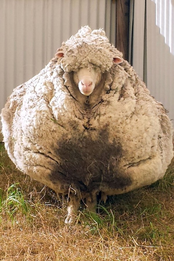 profimedia-0257132465-1000x0