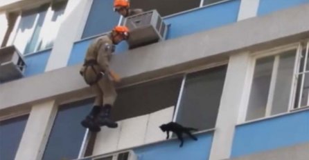 (VIDEO)  Dramatično spašavanje mačke: Koliko joj je još života ostalo?