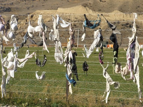 ad16f6b7-dbb4-4ee3-896e-72b6a83bb77e