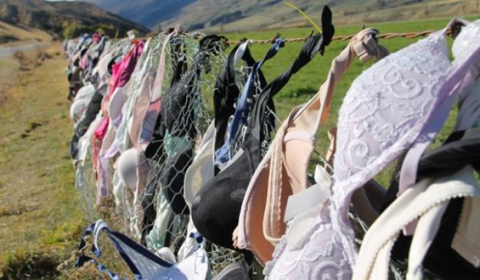 98701db38965921f56bfadd32c9ebba5