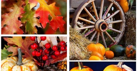 Volite li jesen? Na pragu je, neki kažu da ih podsjeća na 'umiranje', ova galerija će vas navesti da je zavolite!