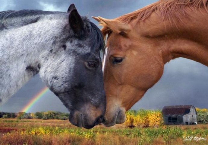 Dokažite koliko ste inteligneti: Probajte riješiti ovu zagonetku!