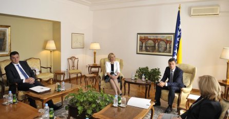 Novalić i Cvijanović usaglasili akcioni plan reformske agende, Wigemark pohvalio rad entitetskih vlada
