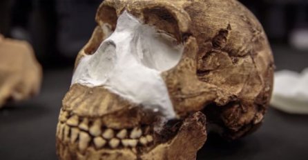 Senzacionalno otkriće: Naučnici otkrili nove pretke ljudi, vrstu Homo Naledi!