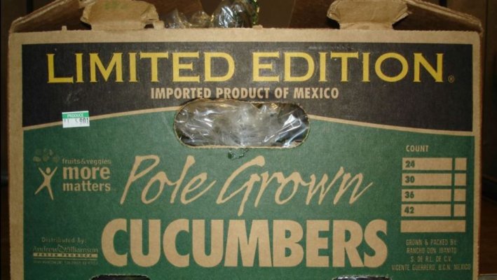 cucumber-recall-salmonella
