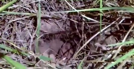 Filmski bijeg iz zatvora pretvorio se u fijasko: Prilikom bježanja  zapeo u tunelu (VIDEO)