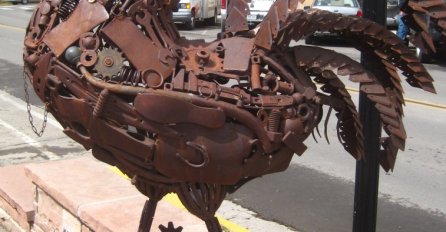 Ovo je priča o pijetlu koji je živio bez glave 18 mjeseci