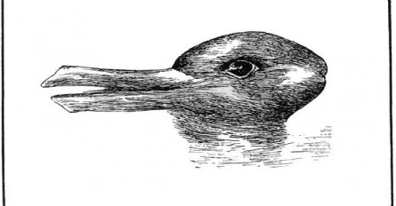 Vidite li na slici patku, zeca ili oboje – i što to govori o vama?