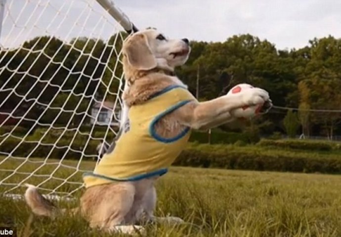 Ovaj pas je zvanično najbolji golman na svijetu! (VIDEO)