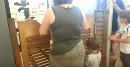 Dječak na bolan način doznao po kojem principu rade 'njihajuća' vrata! (VIDEO)