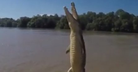 FASCINANTAN SNIMAK Jeste li znali da krokodil može napraviti ovo?