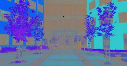 Dobro se zagledajte u ovu tačku na slici, iznenadit ćete se onim što ćete vidjeti!