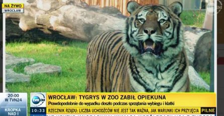 Stravično: Tigar napao i usmrtio čuvara u zoološkom vrtu