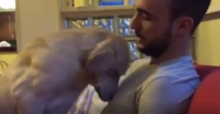 Najtužniji pas na svijetu moli vlasnika za oprost (VIDEO)