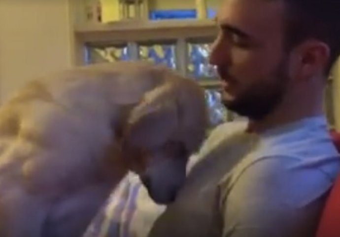 Najtužniji pas na svijetu moli vlasnika za oprost (VIDEO)