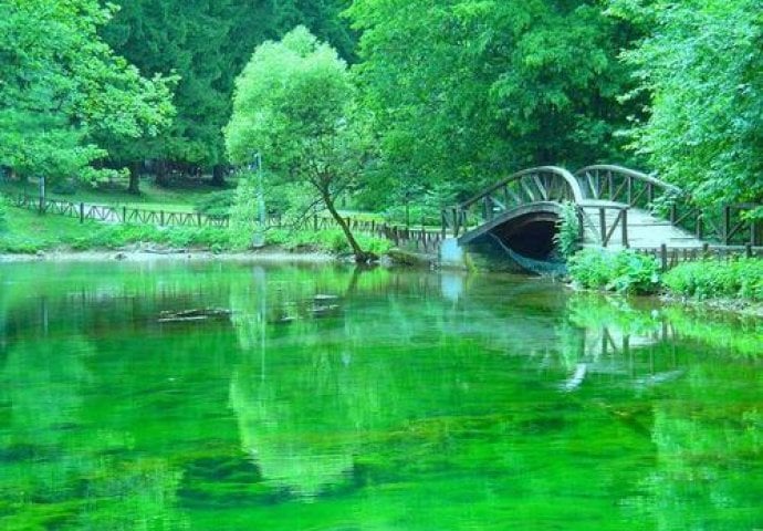 Vrelo Bosne 