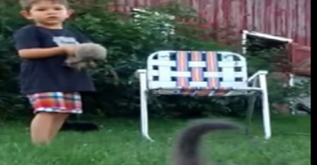 Preslatko: Dječak očajnički pokušava kontrolirati mačiće (VIDEO)