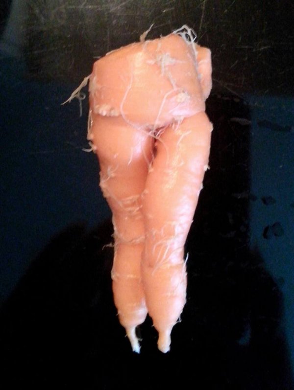 12036854-821919901239163-5017610256734056710-n