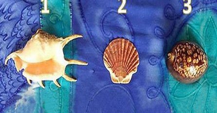 Izaberite jednu školjku i otkrijte šta govori o vama! 