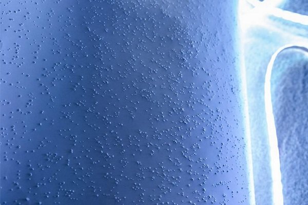 1416079551197-wps-16-tansy-aspinall-with-a-gor