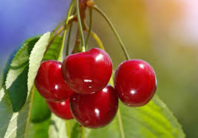 Donosimo vam listu voća koje sadrži najviše šećera, te voća koje sadrži najmanje šećera