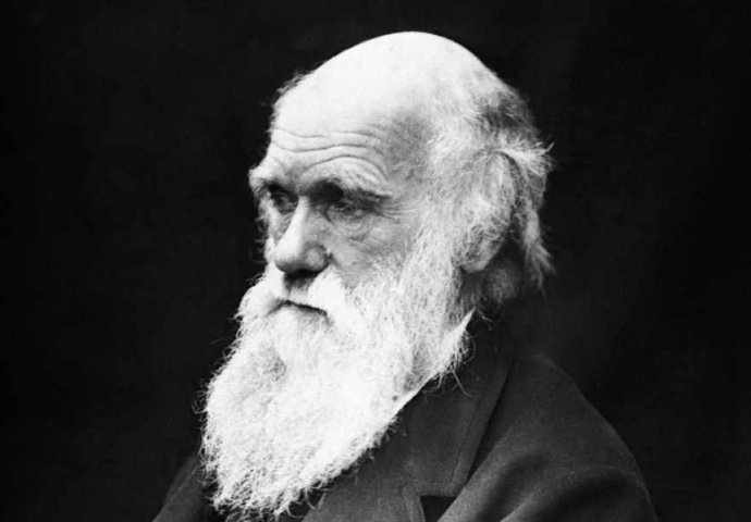 NA AUKCIJI Pismo u kojem Charles Darwin priznaje da je ateist...