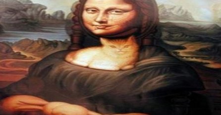 Čini se nemoguće ali, kažu da ovdje ima 16 životinja, koliko ih vi vidite?