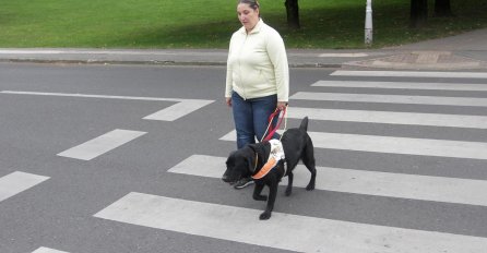 Centar u Zagrebu pomaže osobama s oštećenjem vida: Pas je pomoćnik i najbolji prijatelj slijepoj osobi