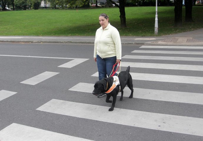 Centar u Zagrebu pomaže osobama s oštećenjem vida: Pas je pomoćnik i najbolji prijatelj slijepoj osobi