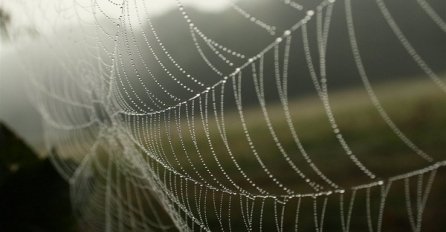 Jutros je u BiH  bilo pretežno oblačno vrijeme ali uskoro nam stiže ljepša strana jeseni