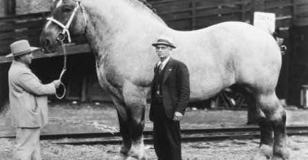 Fotografije koje su zaista fascinirale društvene mreže