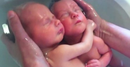 Pogledajte blizance koji su raznježili cijeli svijet (VIDEO)