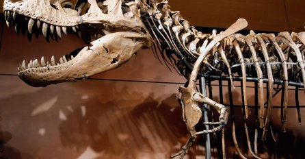 Naučnici otkrili jednu od najvećih misterija: Evo šta je zaista ubilo dinosaure