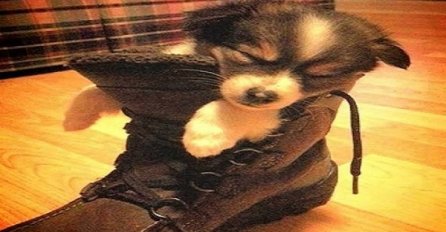 Kad pse savlada san, nije važno gdje se nalaze (FOTO)