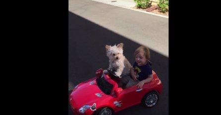 HIT NA INTERNETU: Pas u automobilu provozao dječaka (VIDEO) 