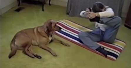 (VIDEO) Urnebesna reakcija psa dok njegova vlasnica radi jogu