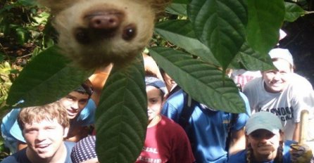 Životinje se baš vole ubaciti čak i kada ne treba!