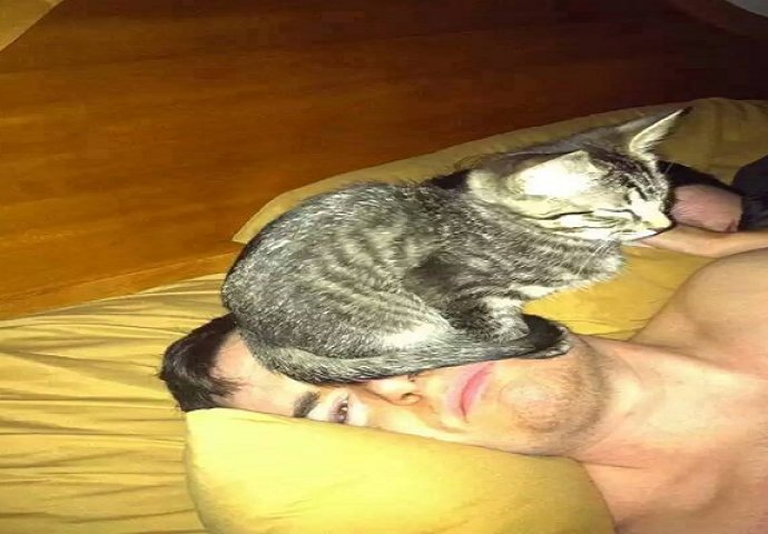 Ljubimci koji nimalo ne poštuju privatni prostor svojih vlasnika (FOTO)