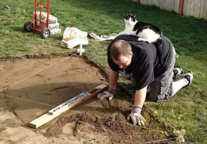 Ljubimci koji nimalo ne poštuju privatni prostor svojih vlasnika (FOTO)