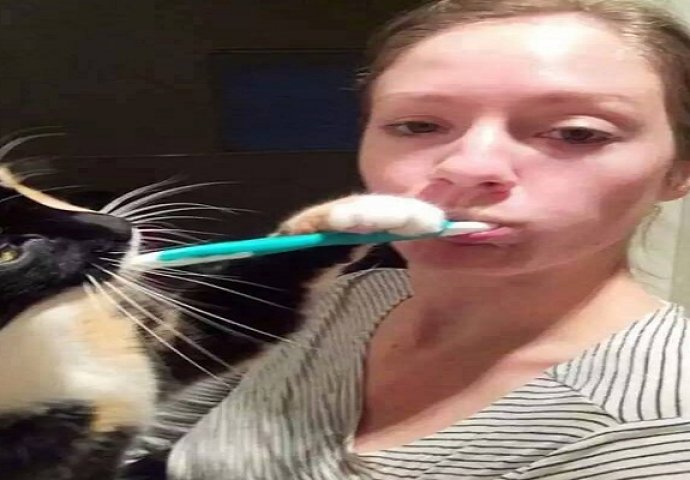 Ljubimci koji nimalo ne poštuju privatni prostor svojih vlasnika (FOTO)