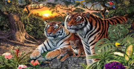 Koliko tigrova možete zaista pronaći na ovoj prelijepoj fotografiji?
