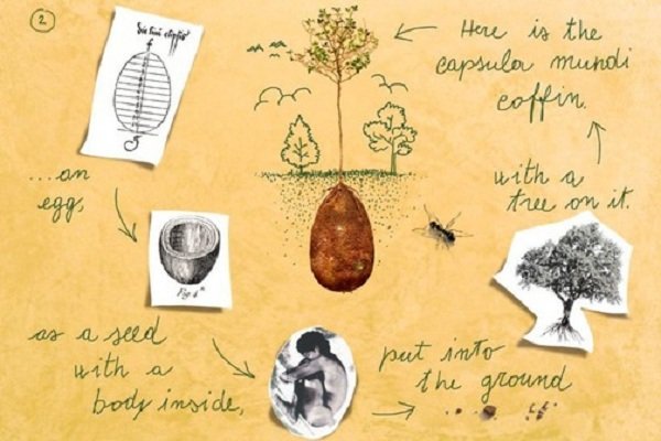 organski-ukop-pretvara-umrle-u-iva-stabla-a-groblja-u-ume-504x335-20151040-20151006152715-1f621fbcd4b4dbb85900fb0118dec569