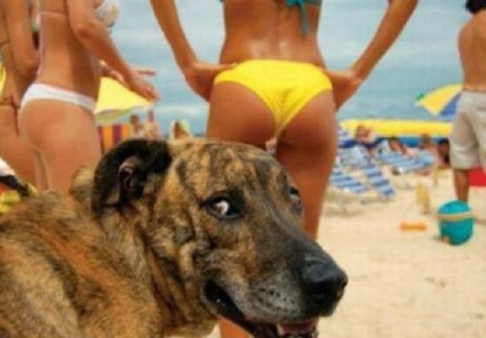 Bili su na korak do savršene fotografije, a onda su im oni upali u kadar!