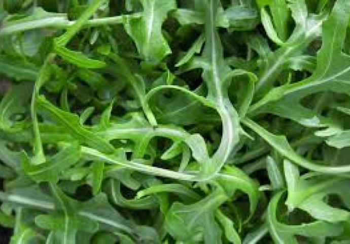  Očistite svoj organizam i eliminirajte otrove iz njega uz pomoć ovih namirnica