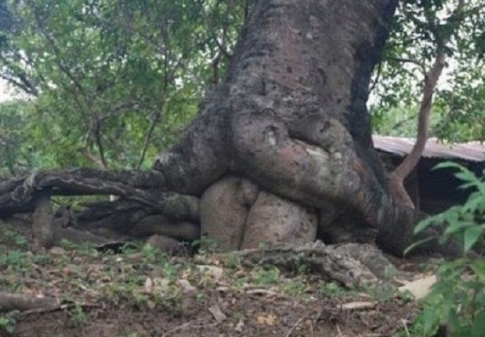 Imate li prljavu maštu? Saznajte s ovim fotografijama!